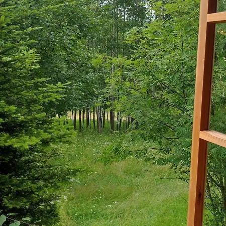 Cudna Pod Hala Krupowa Skawica (Lesser Poland)
